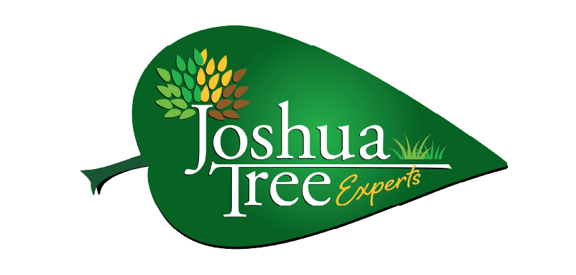 HomePage_JoshuaTreeExpertsLogo